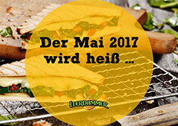 Leerdammer - Lauch ToastBurger Sell-in-Story